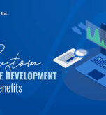 Custom Software Development: Cost & Benefits | RAPS