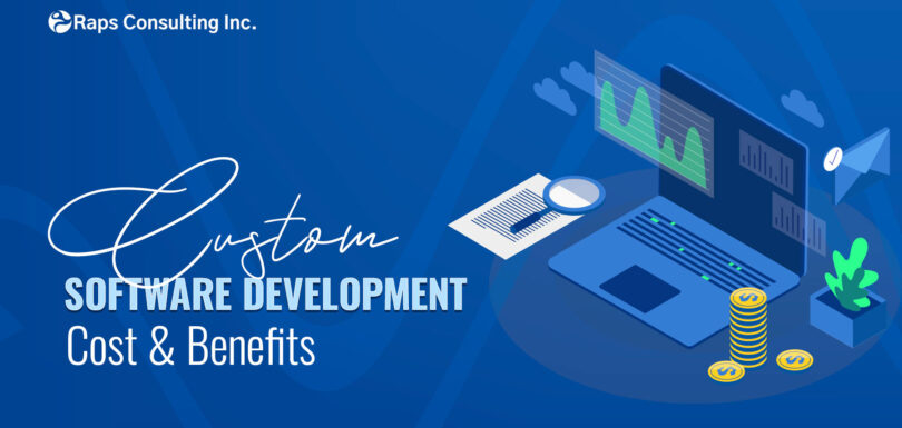 Custom Software Development: Cost & Benefits | RAPS
