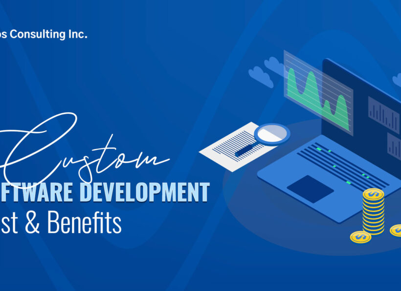 Custom-Software-Development-Cost-and-Benefits Custom Software Development: Cost & Benefits | RAPS